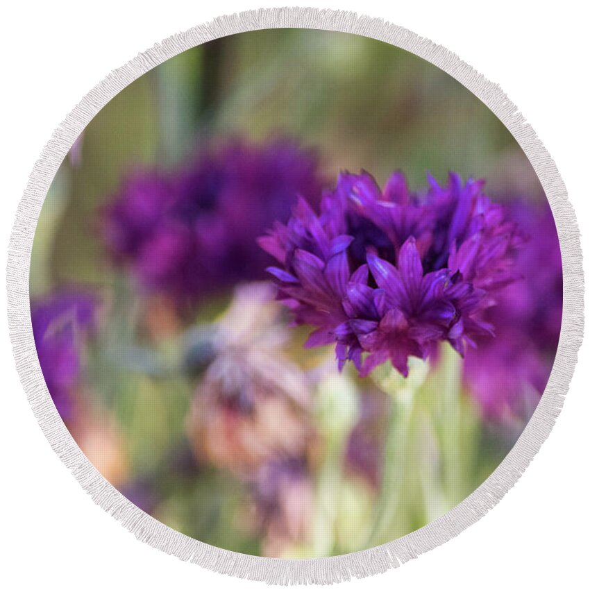 Purple Flowers Round Beach Towel featuring the photograph Chive Blossoms by Bonnie Bruno
