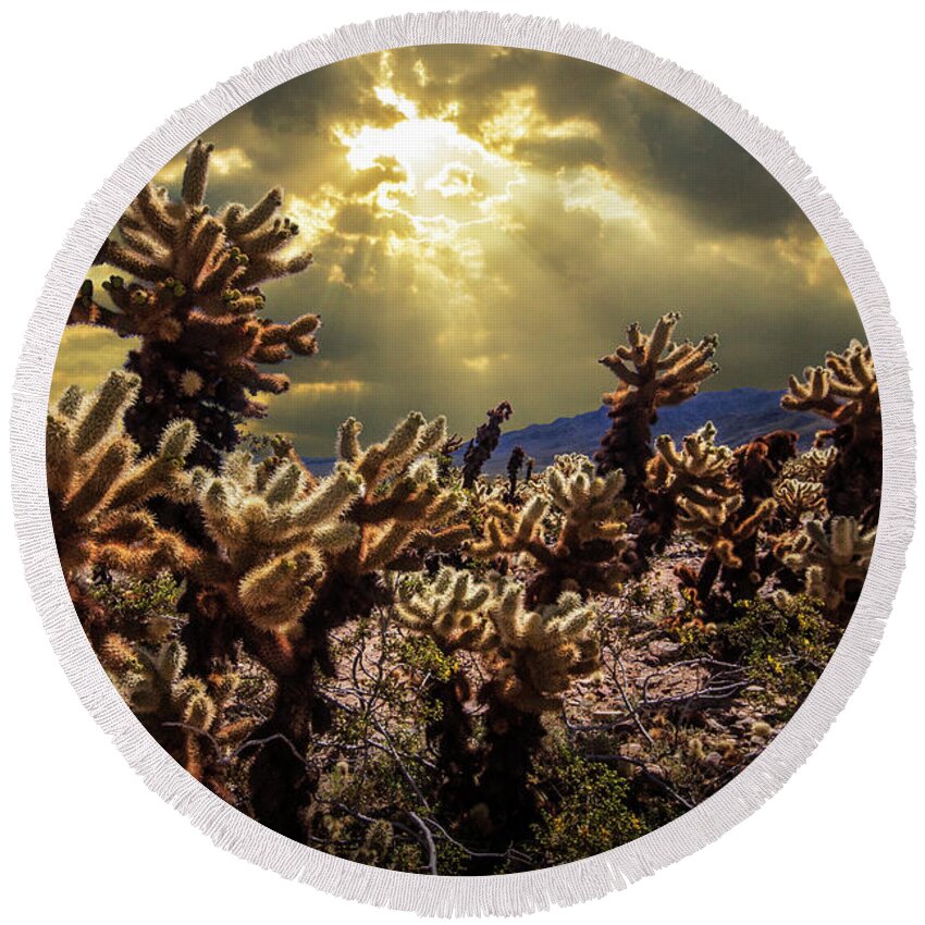 Art Round Beach Towel featuring the photograph Cholla Cactus Garden bathed in Sunlight in Joshua Tree National Park by Randall Nyhof