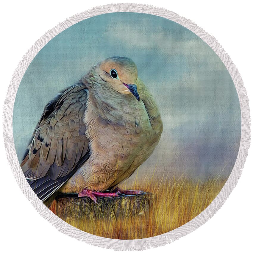 Dove Round Beach Towel featuring the photograph Chubby Dove by Cathy Kovarik