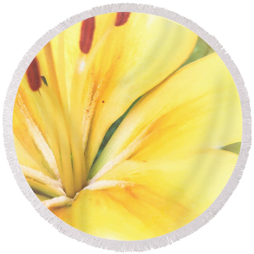 Blossom Round Beach Towel featuring the photograph Citrine Blossom by Sand And Chi