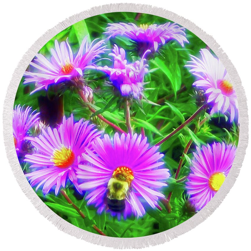 Purple Daisy Round Beach Towel featuring the photograph City Flare Pollinating by Aimee L Maher ALM GALLERY