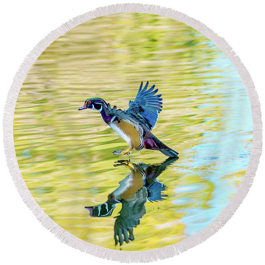 Wood Duck Round Beach Towel featuring the photograph Clear the Runway by Judi Dressler
