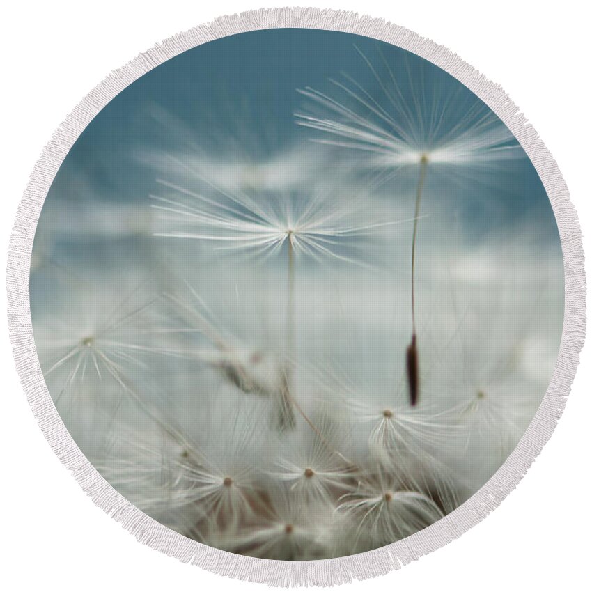 Stilllife Round Beach Towel featuring the photograph Close Your Eyes and Make a Wish by Maggie Terlecki