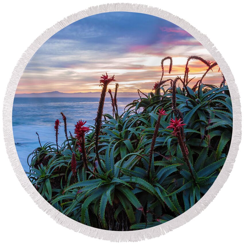 Landscape Round Beach Towel featuring the photograph Coastal Aloes by Jonathan Nguyen