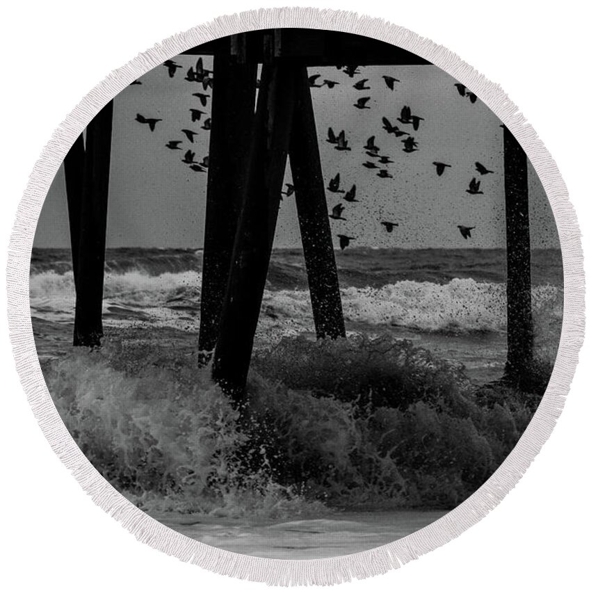 Bird Round Beach Towel featuring the photograph Coastal Movements by Nicole Lloyd