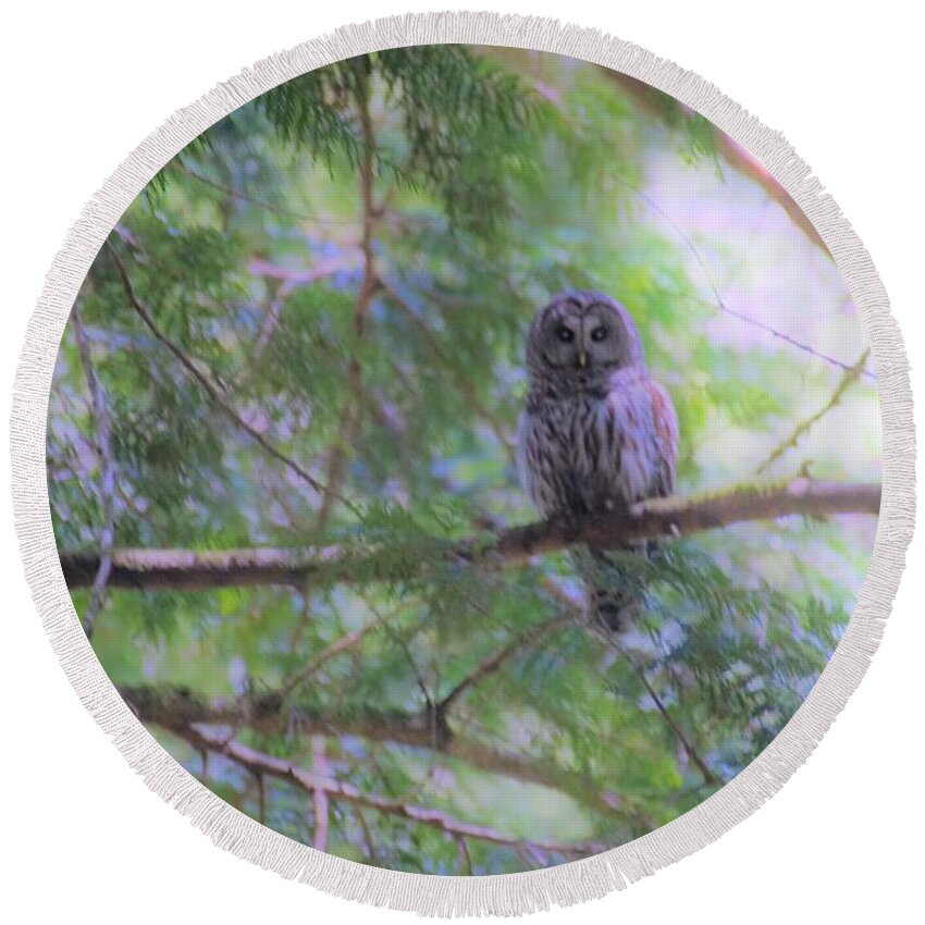 Owl Round Beach Towel featuring the photograph Coastal Owl by Merle Grenz
