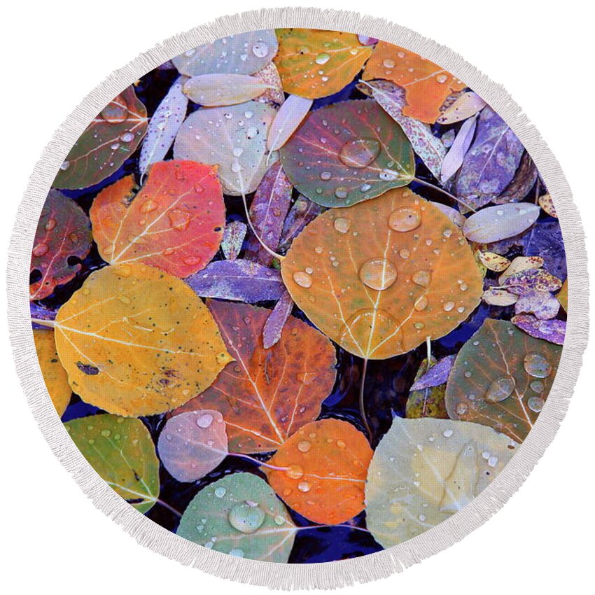 Fall Round Beach Towel featuring the photograph Collage of Aspen Leaves at McGee Creek in the Eastern Sierras by Jetson Nguyen
