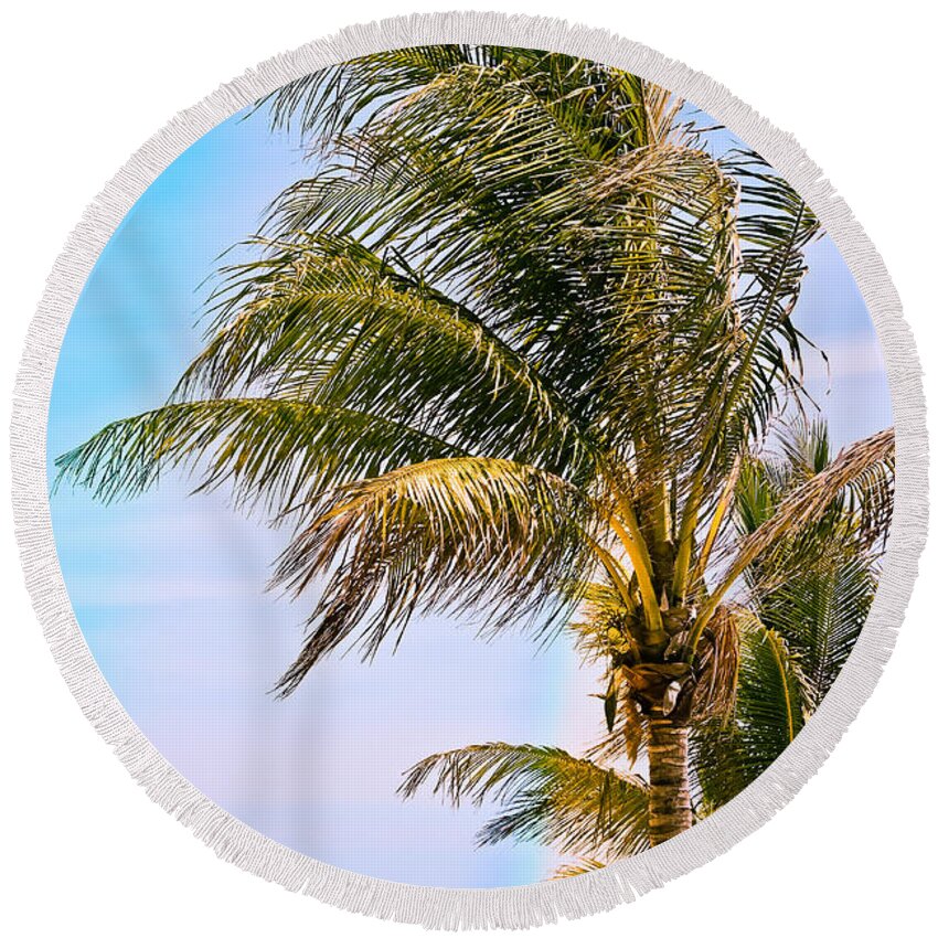 Palm Trees Round Beach Towel featuring the photograph Color Drenched Palm Trees by Colleen Kammerer