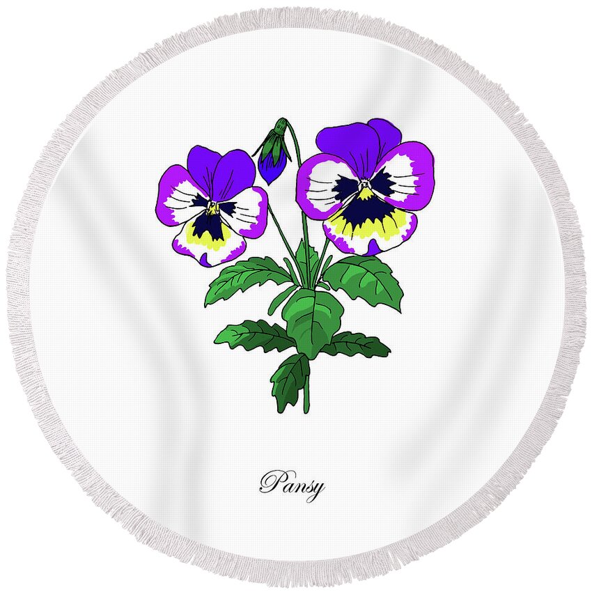 Pansy Round Beach Towel featuring the mixed media Colored Pansy. Botanical by Masha Batkova
