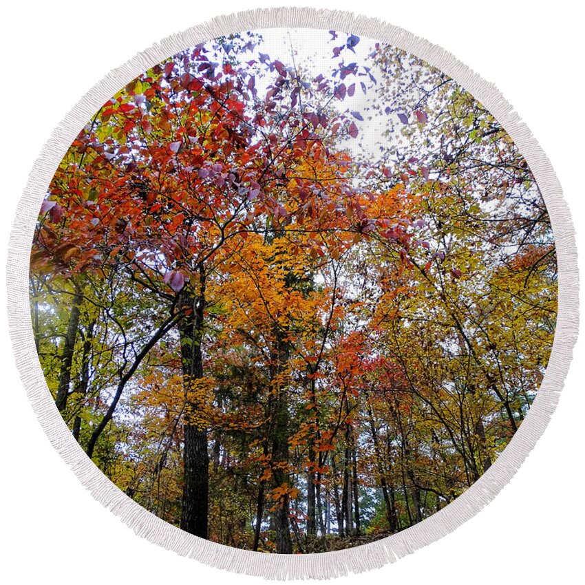 Autumn Round Beach Towel featuring the photograph Colorful Forest by Doris Aguirre