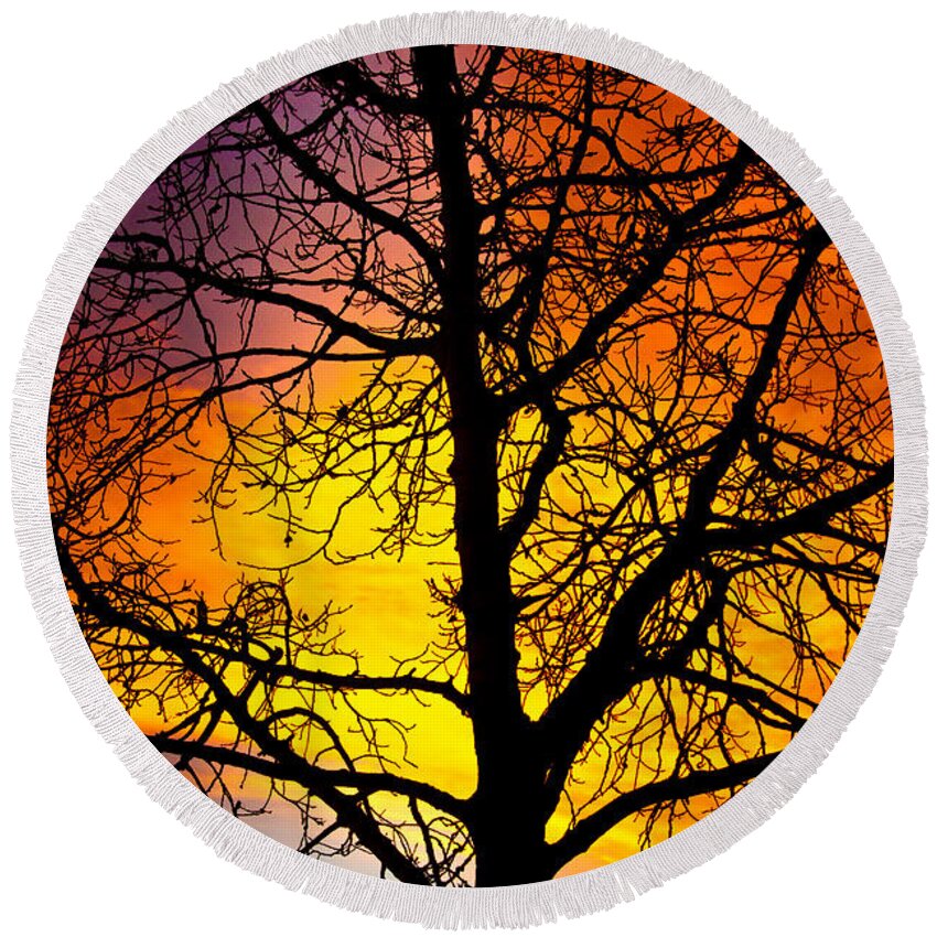 Silhouette Round Beach Towel featuring the photograph Colorful Silhouette by James BO Insogna