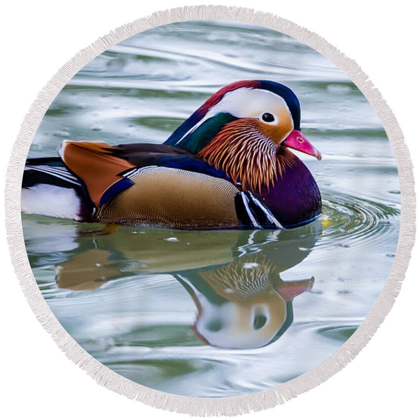 Colorful Round Beach Towel featuring the photograph Colorful by Torbjorn Swenelius