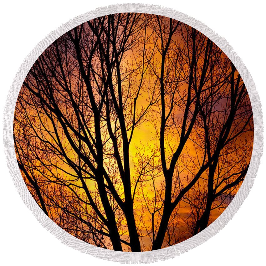 Vertical Round Beach Towel featuring the photograph Colorful Tree Silhouettes by James BO Insogna