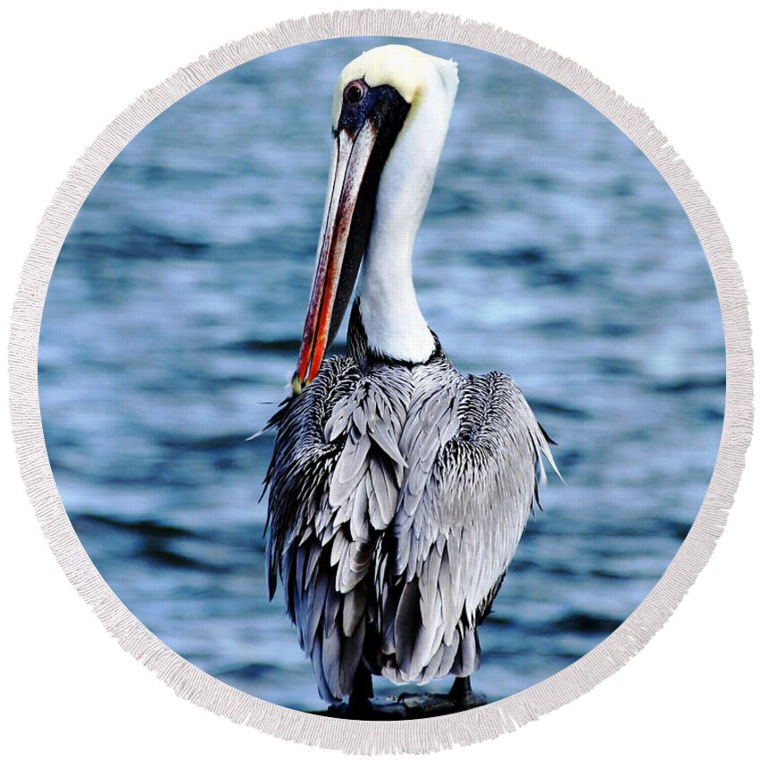 Brown Pelican Round Beach Towel featuring the photograph Comically Elegant by Debbie Oppermann