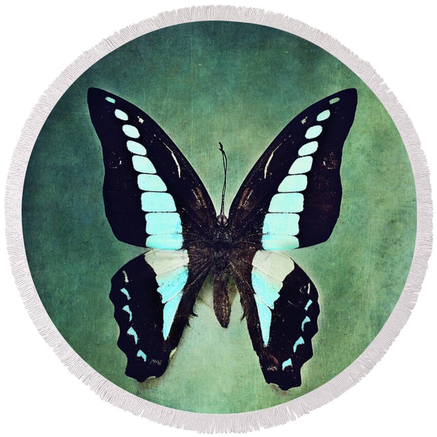 Graphium Sarpedon Round Beach Towel featuring the photograph Common Bluebottle Butterfly by Stephanie Frey