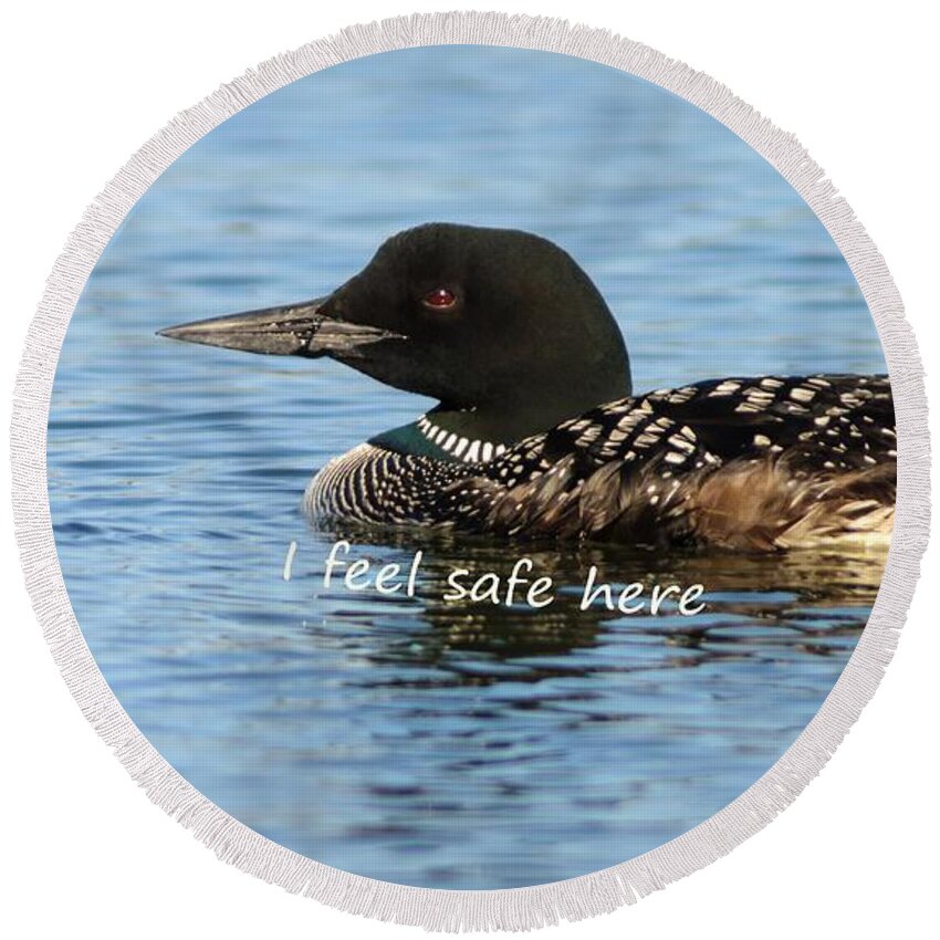  Round Beach Towel featuring the photograph Common Loon says I Feel Safe Here by Sherry Clark