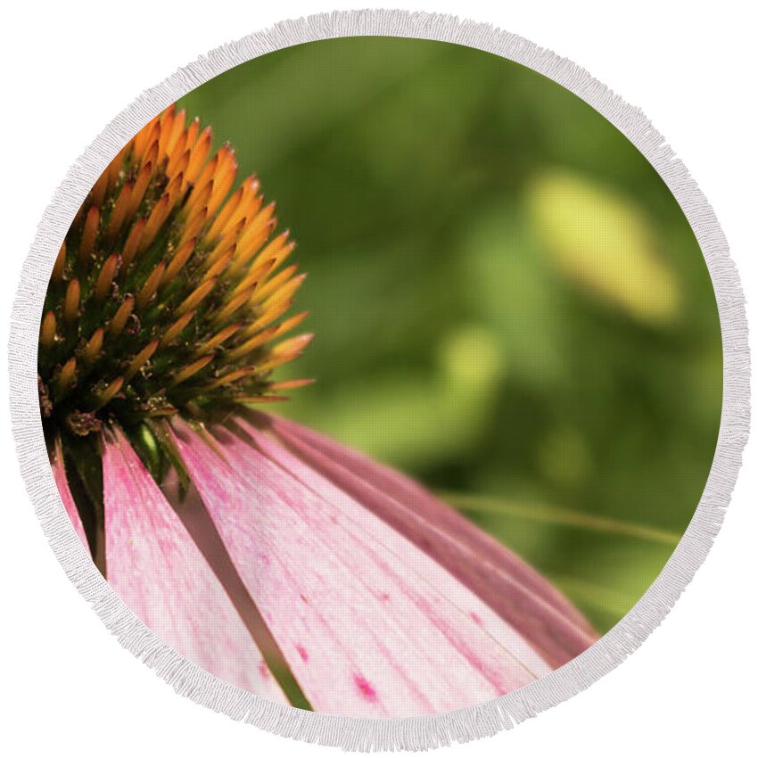 Wildflower Round Beach Towel featuring the photograph Coneflower by Holly Ross