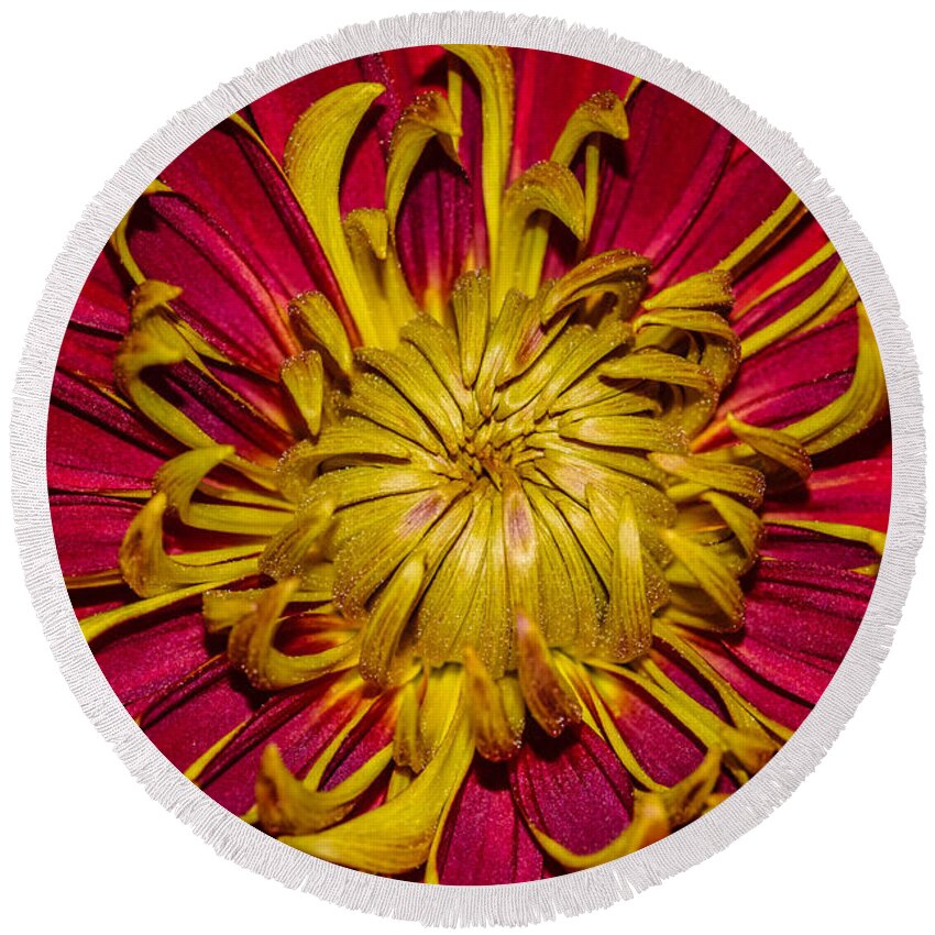 Flower Round Beach Towel featuring the photograph Core of the flower by Gerald Kloss