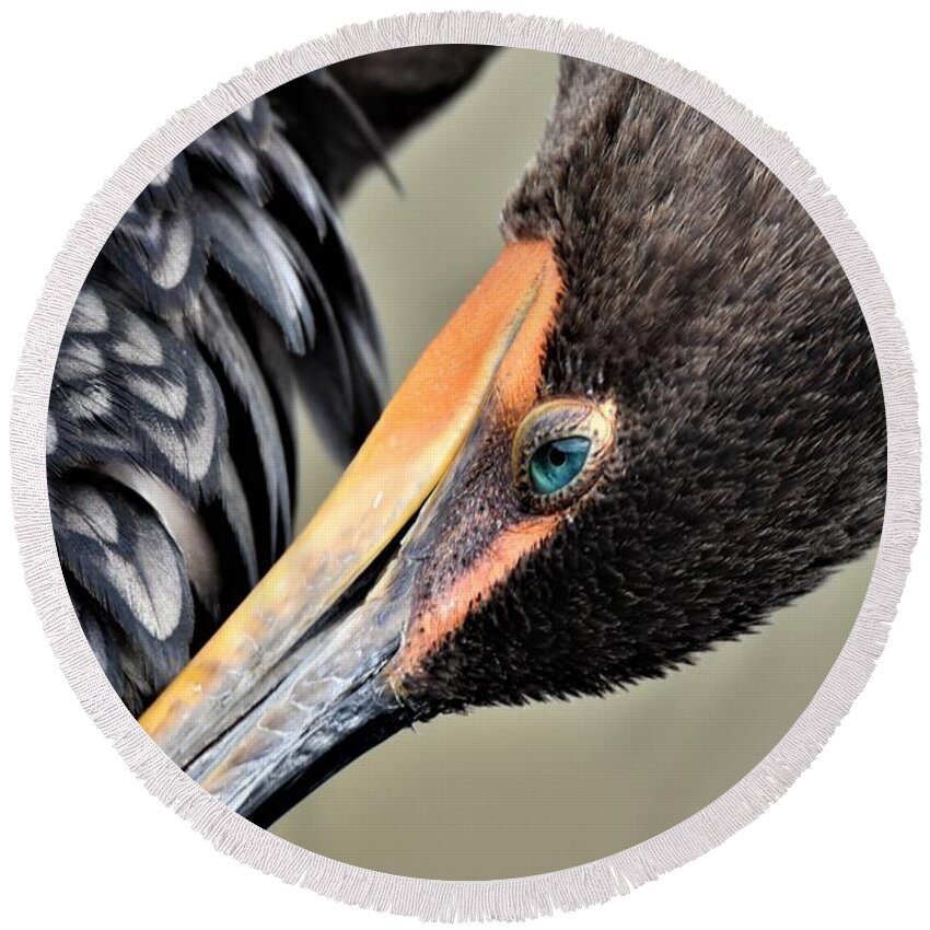Cormorant Round Beach Towel featuring the photograph Cormorant Close Up by Julie Adair
