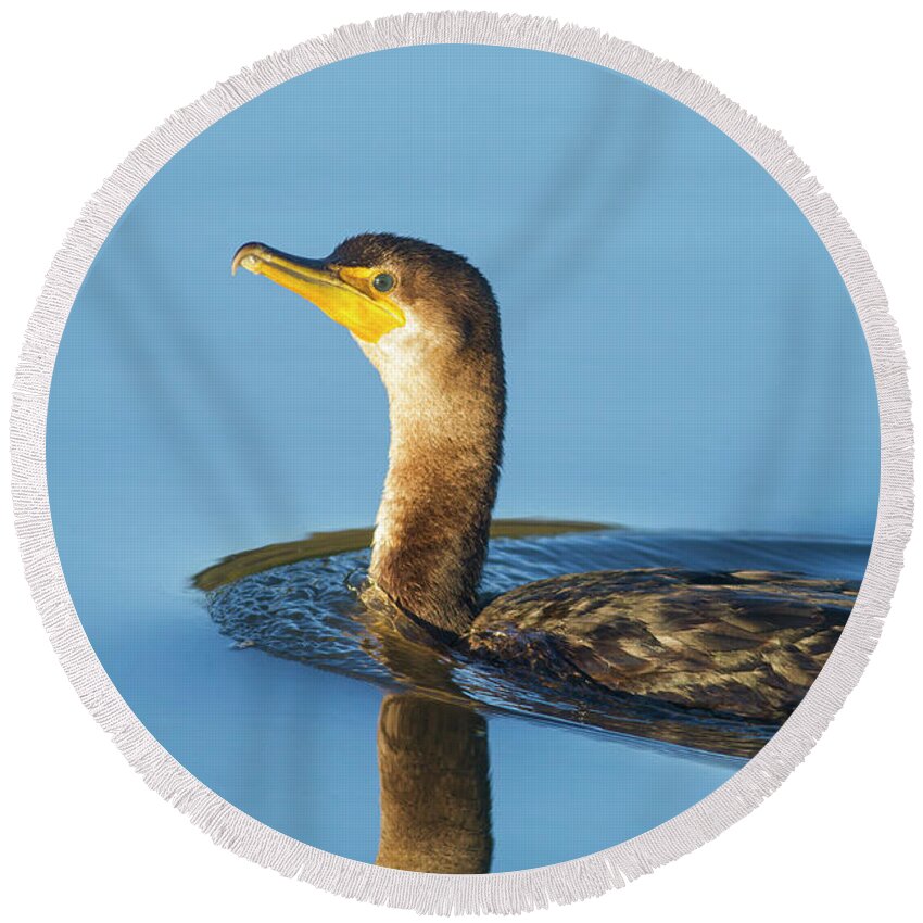 Cormorant Round Beach Towel featuring the photograph Cormorant Reflection by Mark Miller