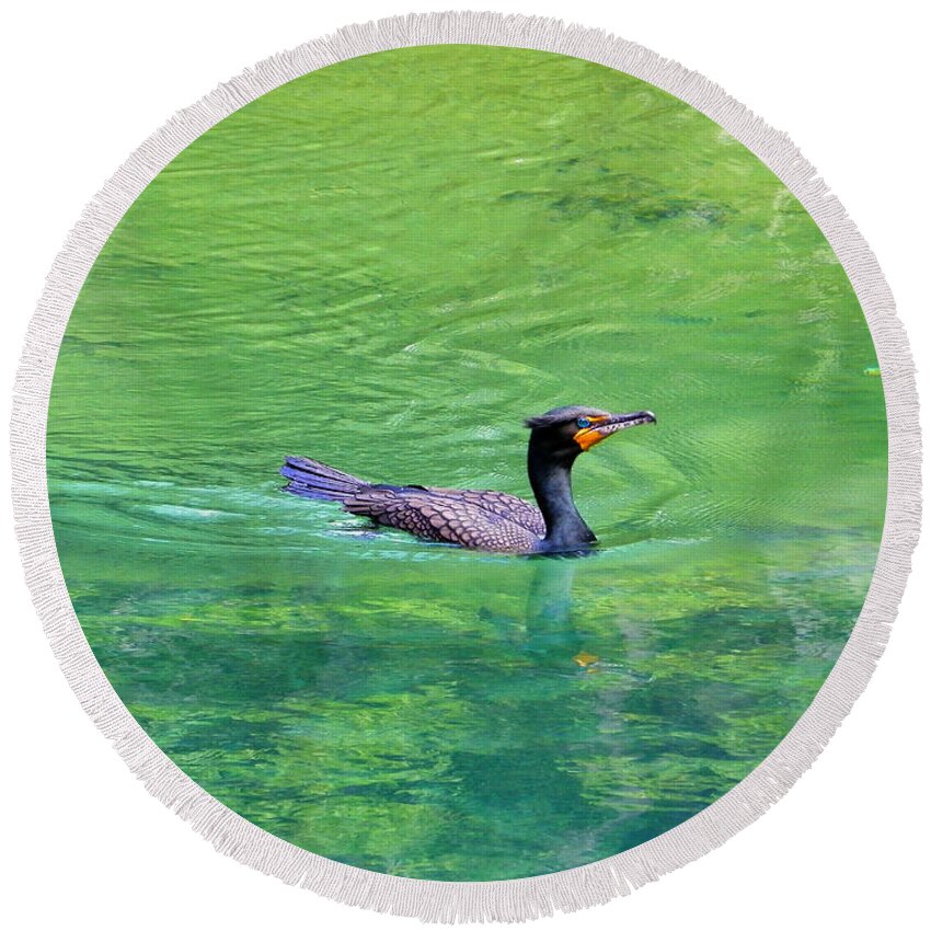 Nature Round Beach Towel featuring the photograph Cormorant Spring by Judy Wanamaker
