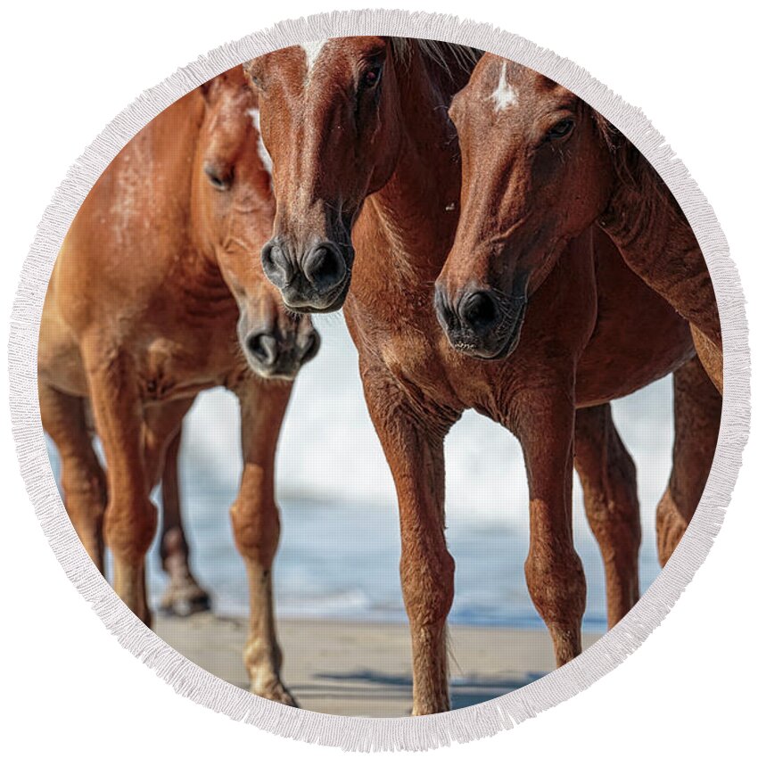 Wild Horse Round Beach Towel featuring the photograph Corolla Horses VII by Glenn Woodell