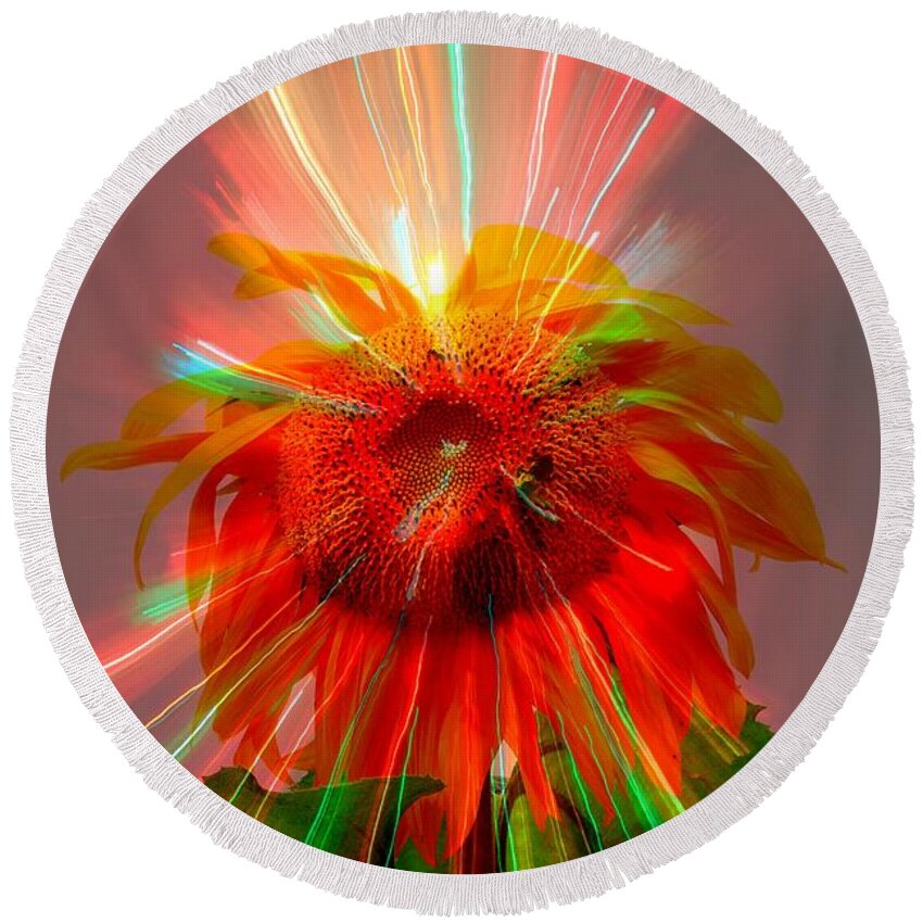 Flowers Round Beach Towel featuring the photograph Cosmic Sunflower by Rick Rauzi