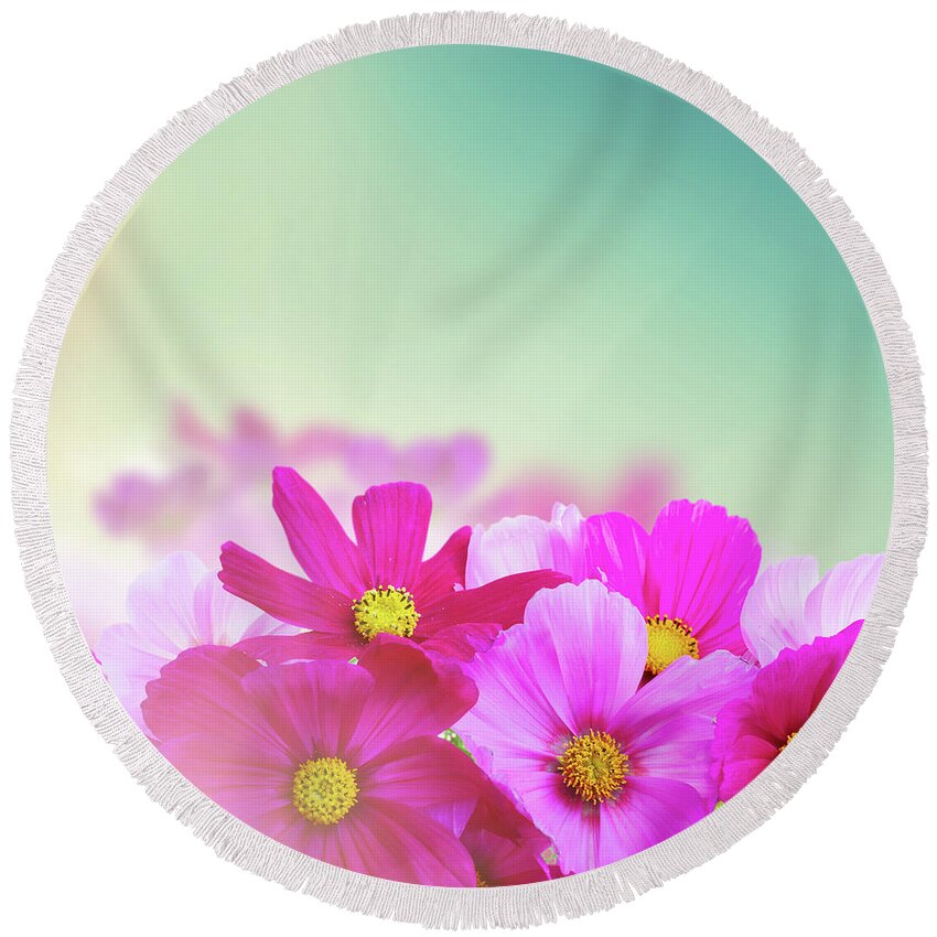 Cosmos Round Beach Towel featuring the photograph Cosmos Flowers #1 by Anastasy Yarmolovich