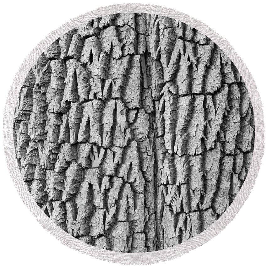 Texture Prints Round Beach Towel featuring the photograph Cottonwood Tree Texture Black and White Print by James BO Insogna