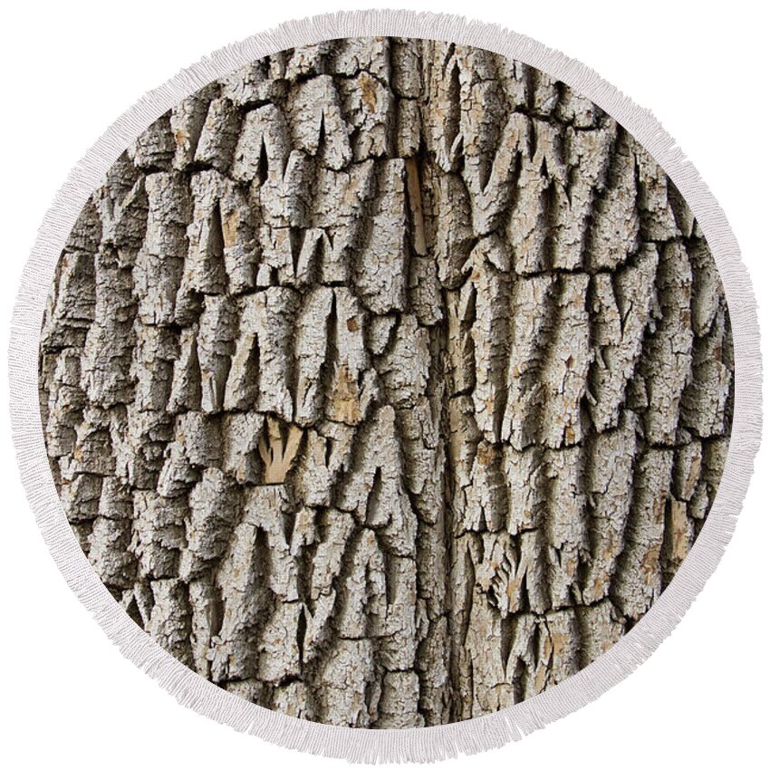 Texture Prints Round Beach Towel featuring the photograph Cottonwood Tree Texture Print by James BO Insogna