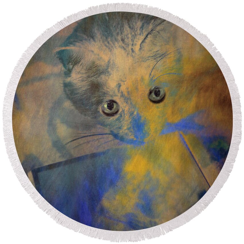 Kitty Round Beach Towel featuring the photograph Could it be? Another kitty as pretty as me? by Rene Crystal