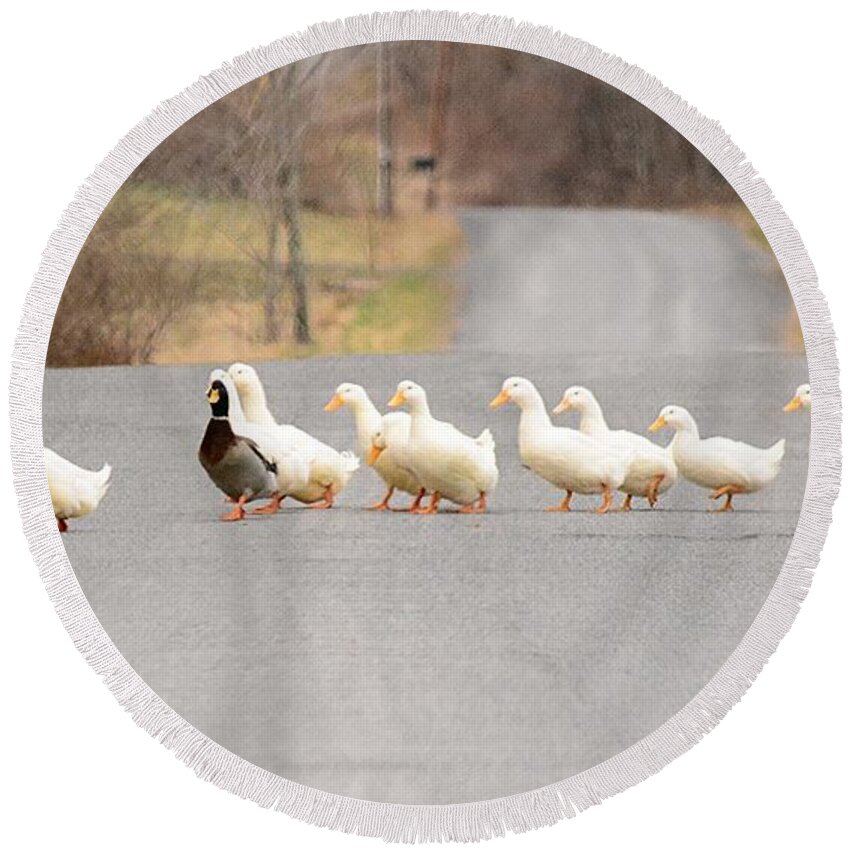 Geese Round Beach Towel featuring the photograph Country Road by Judy Genovese