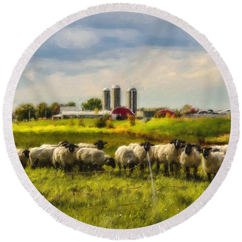 Sheep Round Beach Towel featuring the photograph Country Sheep by Ken Morris