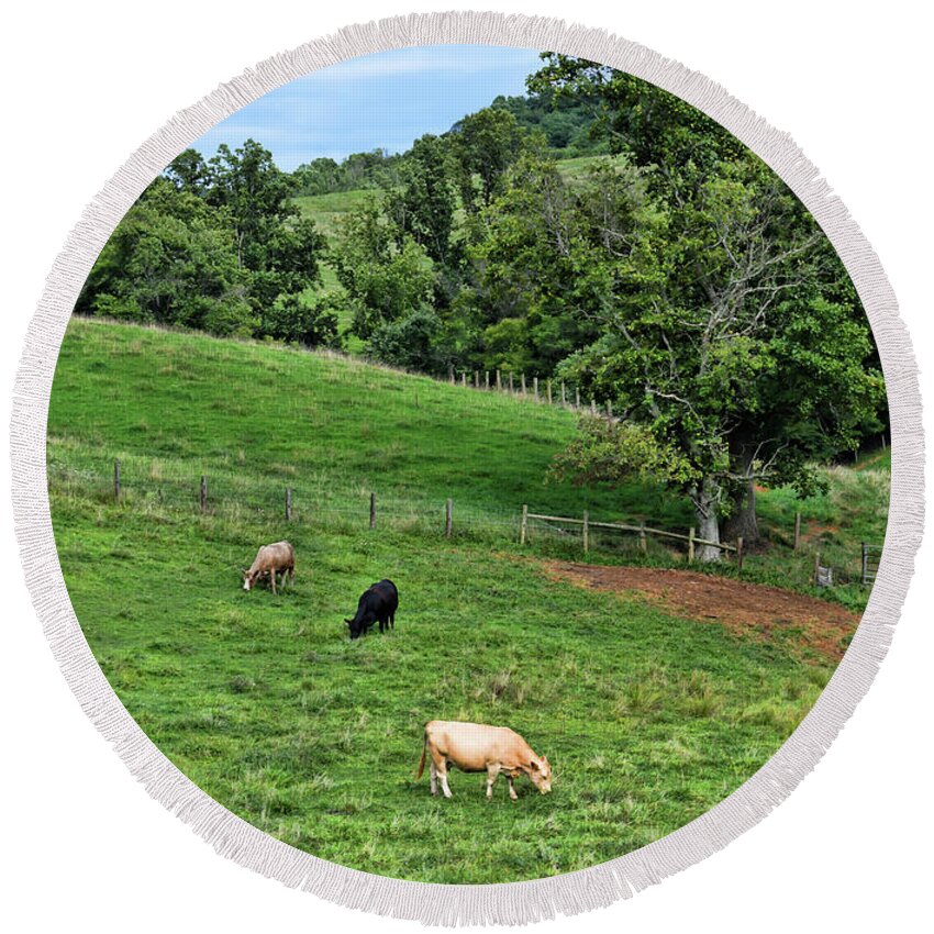 Cows Round Beach Towel featuring the photograph Country Views - Cows in The Pasture by Kerri Farley