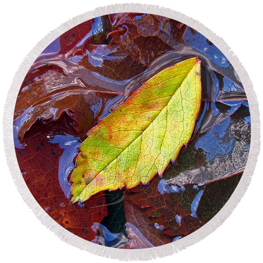 Tree Round Beach Towel featuring the photograph Cradled Leaf by Juergen Roth
