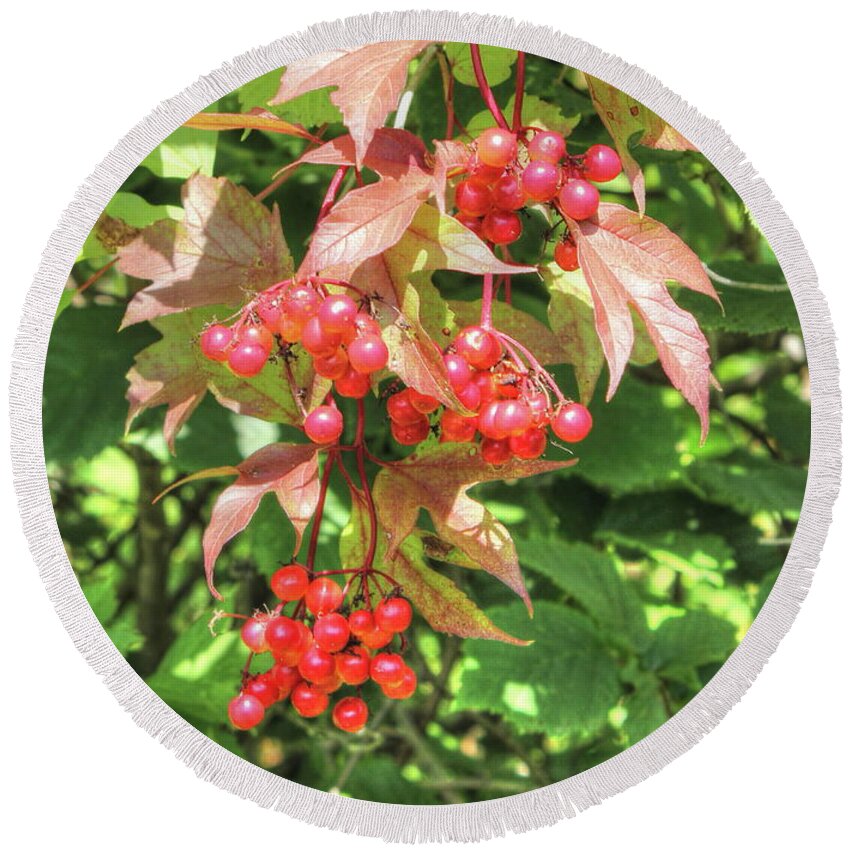 Berries Round Beach Towel featuring the photograph Cranberry Cluster by Jim Sauchyn