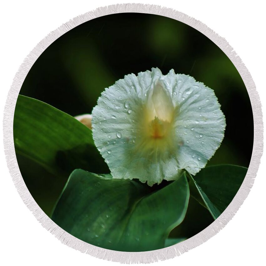 Costus Speciosus Round Beach Towel featuring the photograph Crepe Ginger Blossom by Craig Wood