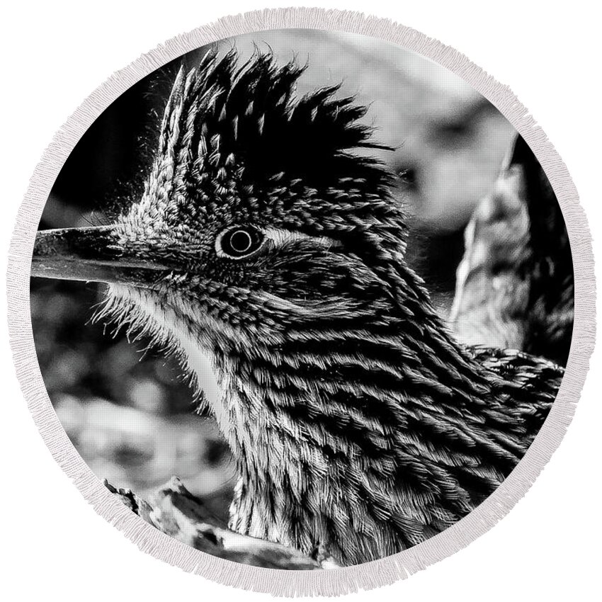 Bird Round Beach Towel featuring the photograph Cresting Roadrunner, Black and White by Adam Morsa