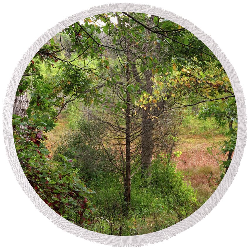  Round Beach Towel featuring the photograph Crooked Creek Woods by Kimberly Mackowski
