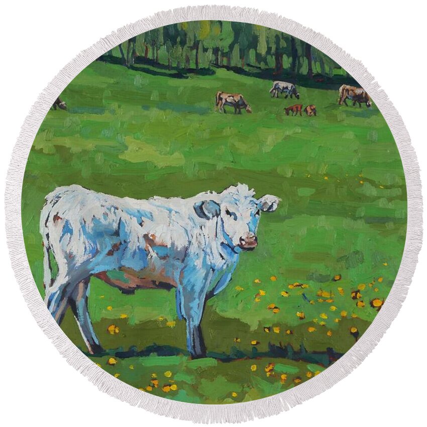 2105 Round Beach Towel featuring the painting Curious Steer by Phil Chadwick
