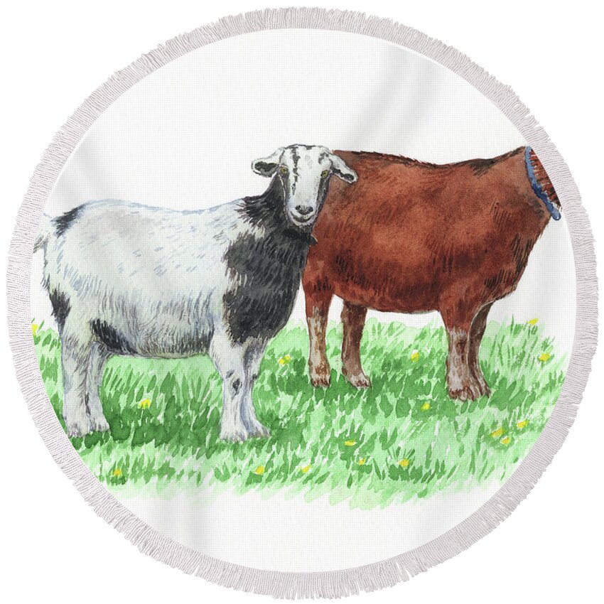 Goat Round Beach Towel featuring the painting Cute And Curious Goats Watercolor by Irina Sztukowski