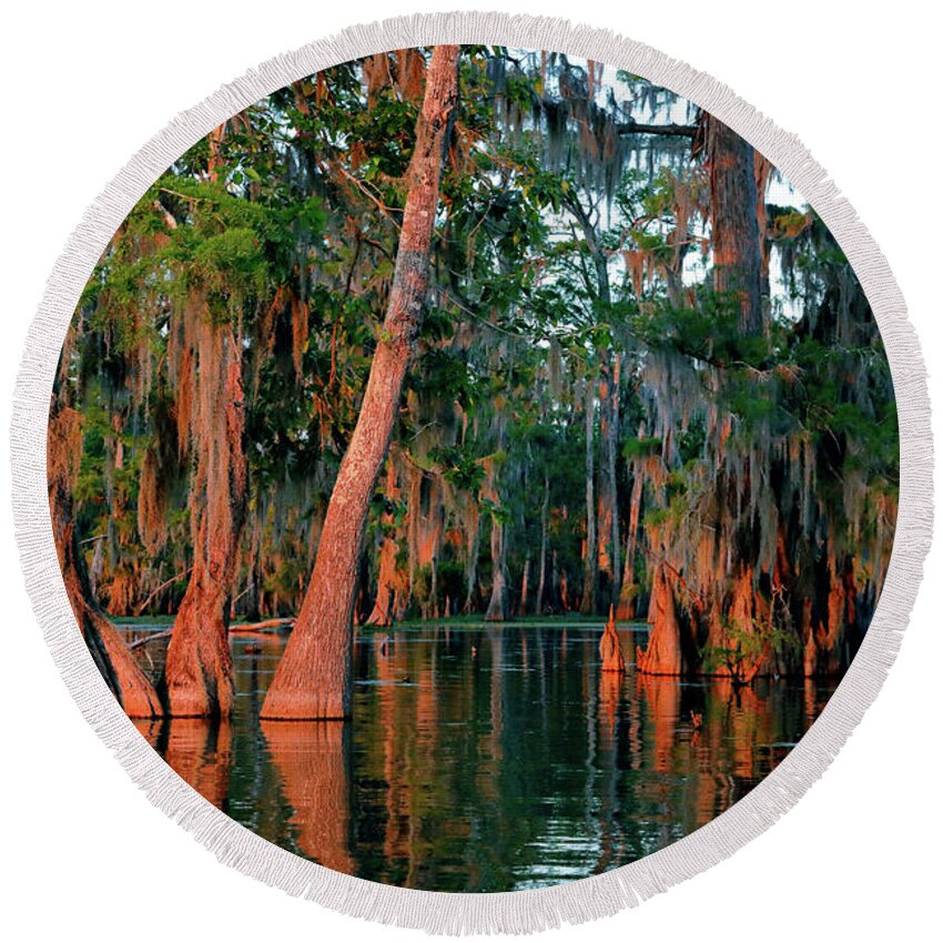 Cypress Round Beach Towel featuring the photograph Cypress Grove by Nicholas Blackwell