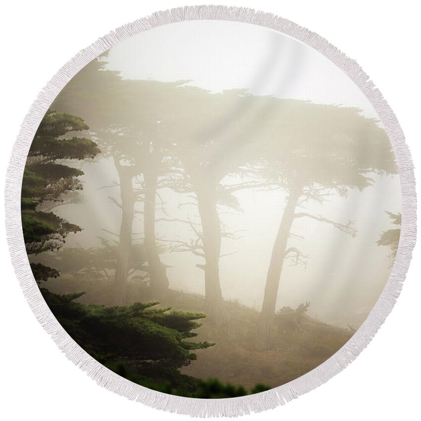 California Round Beach Towel featuring the photograph Cyprus Tree Grove in Fog by Craig J Satterlee