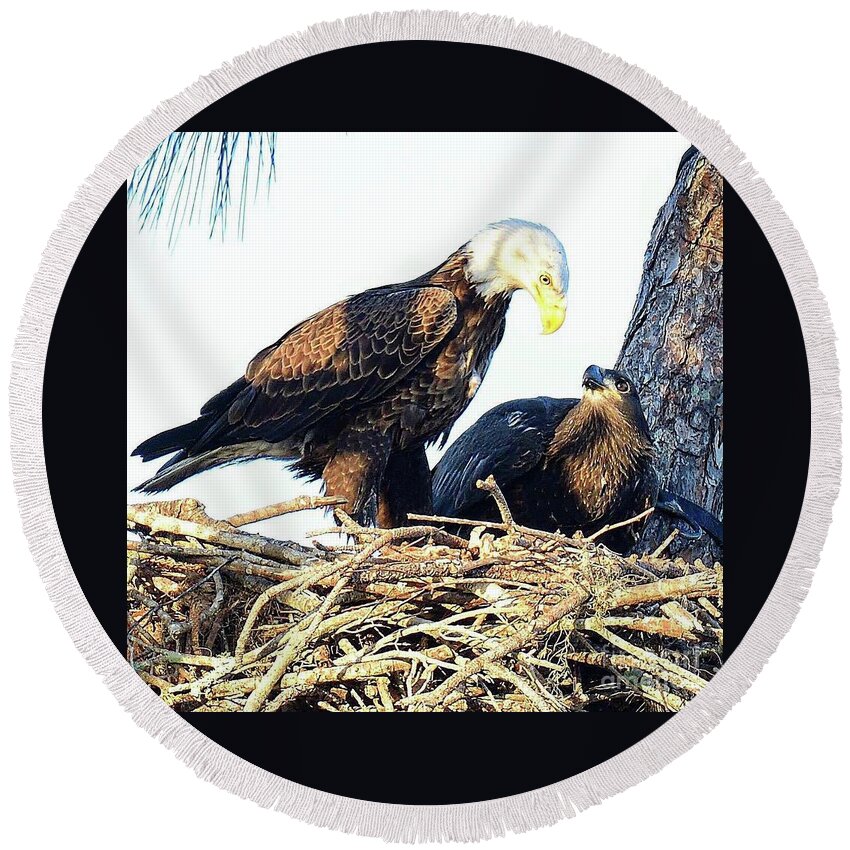 Bald Eagle Round Beach Towel featuring the photograph Dad love by Liz Grindstaff