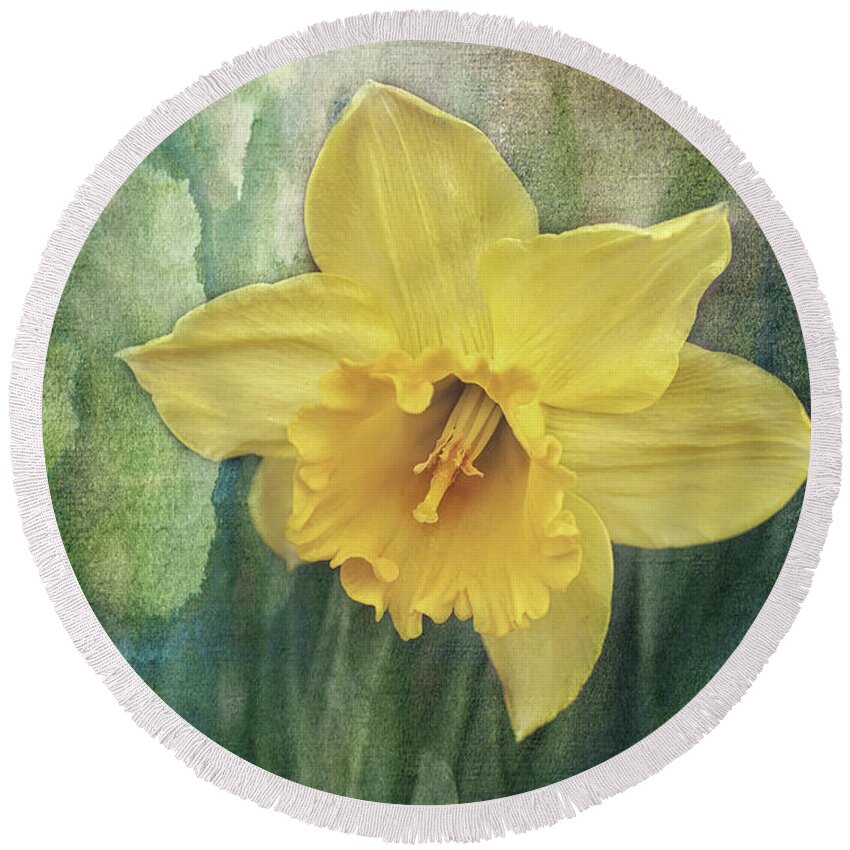 Daffodils In Bloom Print Round Beach Towel featuring the photograph Daffodils in Bloom by Gwen Gibson