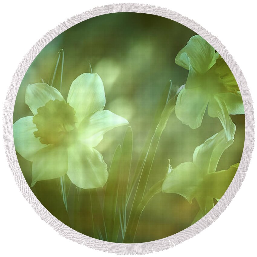 Daffodils Round Beach Towel featuring the photograph Daffodils1 by Loni Collins