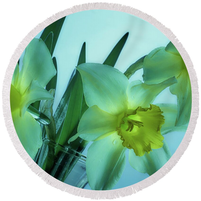 Daffodils Round Beach Towel featuring the photograph Daffodils2 by Loni Collins