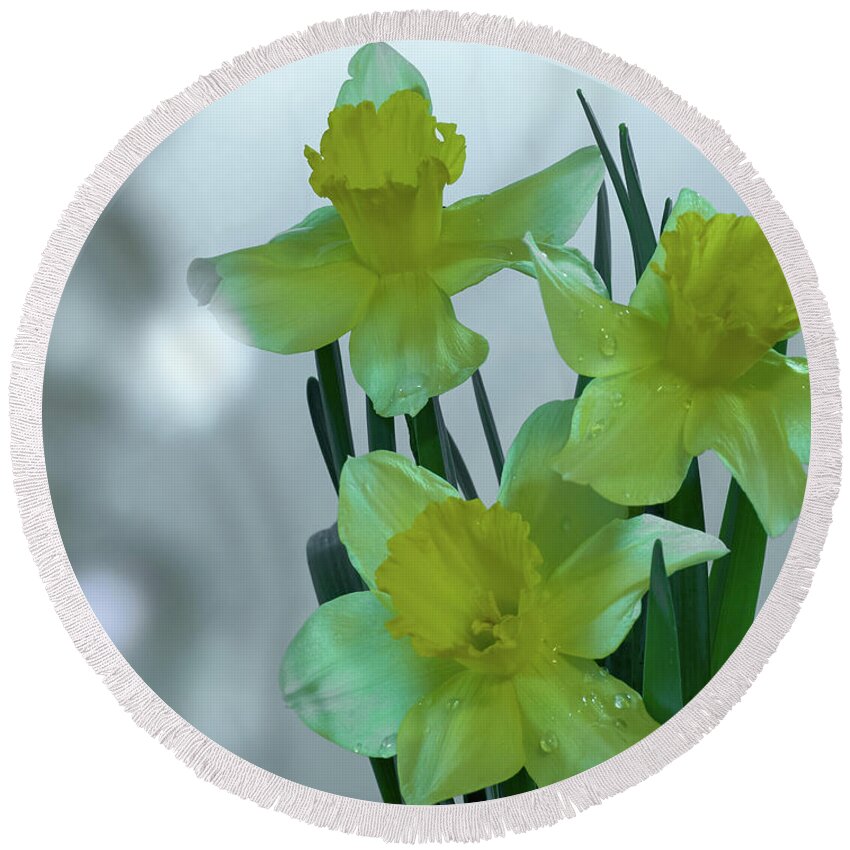 Daffodils Round Beach Towel featuring the photograph Daffodils3 by Loni Collins