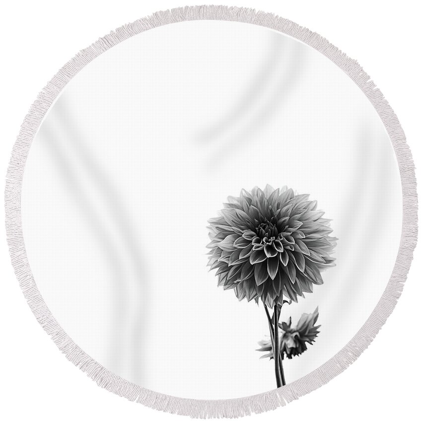 Dahlia Round Beach Towel featuring the photograph Dahlia In Black And White 2 by Mark Alder