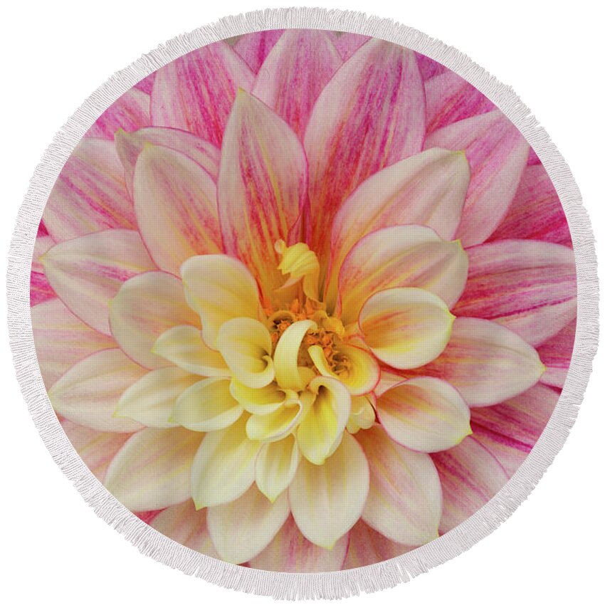 Dahlia Round Beach Towel featuring the photograph Dahlia With Pink Texture by Mary Jo Allen
